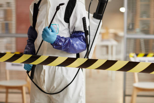 Professional Trauma Scene Cleanup technician working in Rimforest, CA